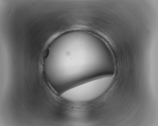 X0000114441363200910161043
