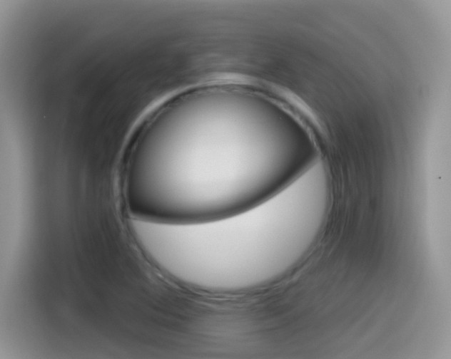 X0000114441364200910161043