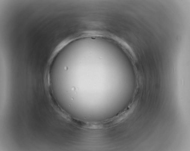 X0000114441365200910161043