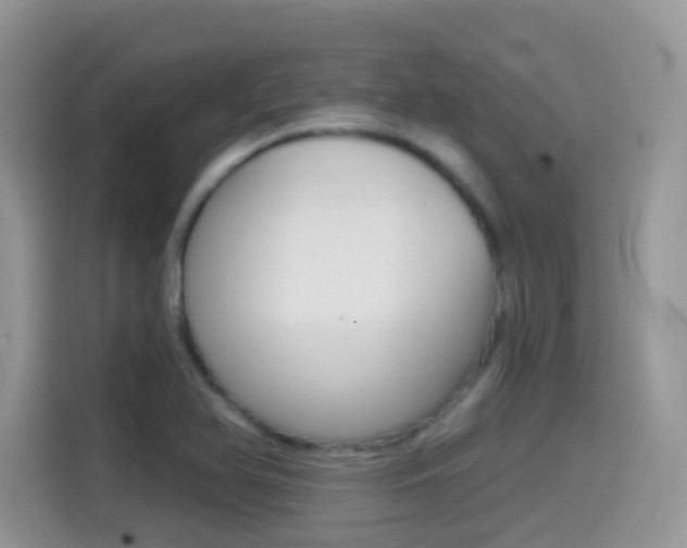 X0000114441366200910161043
