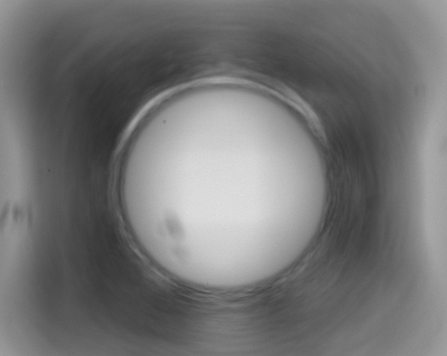 X0000114441368200910161043