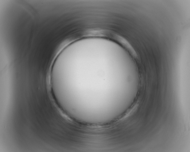 X0000114441370200910161043