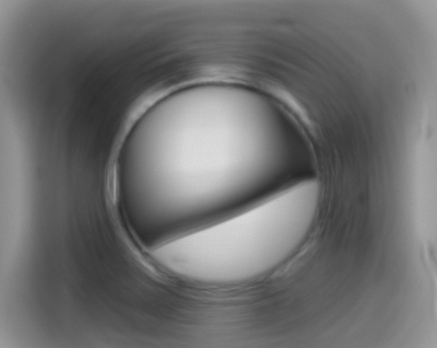 X0000114441371200910161043