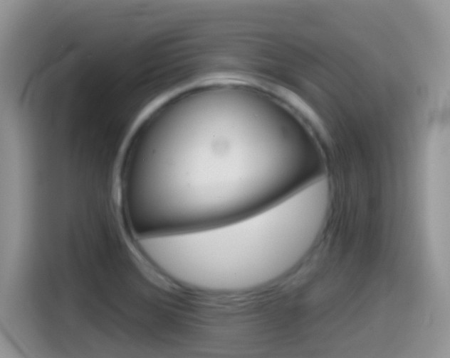 X0000114441372200910161043