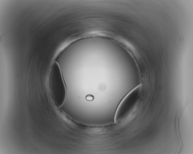 X0000114441373200910161043