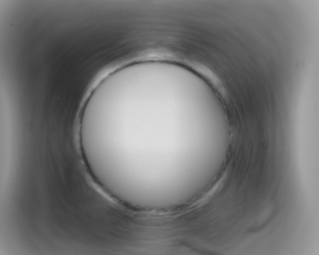 X0000114441374200910161043