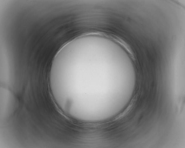 X0000114441377200910161043