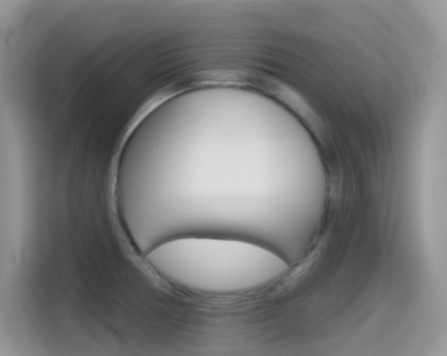 X0000114441378200910161043
