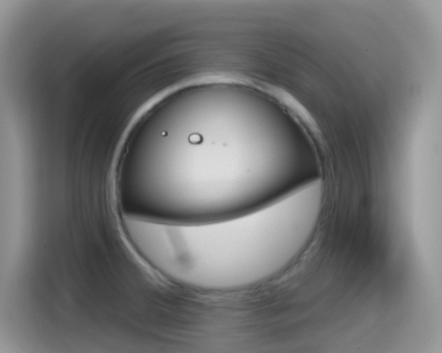 X0000114441380200910161043