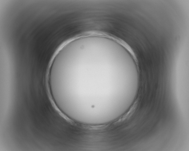 X0000114441381200910161043