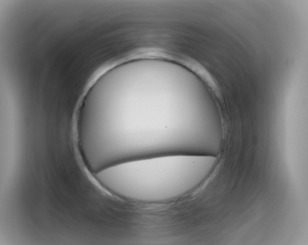 X0000114441382200910161043