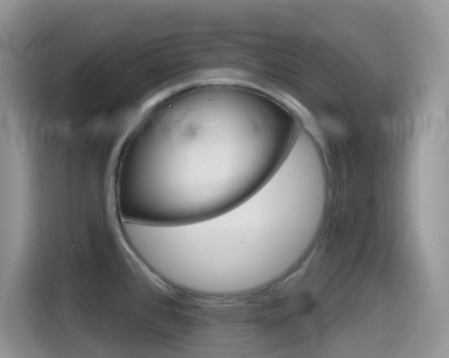 X0000114441384200910161043