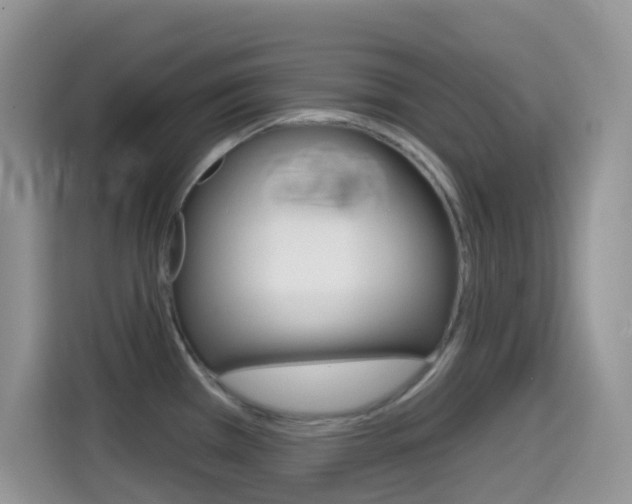 X0000114441385200910161043