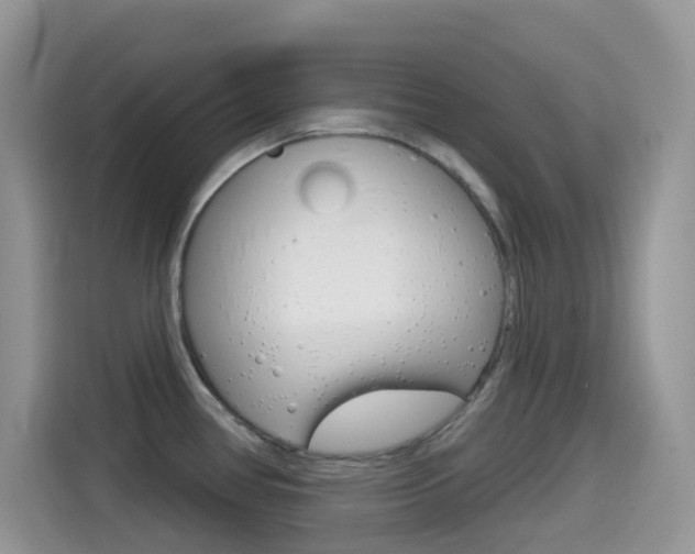 X0000114441386200910161043