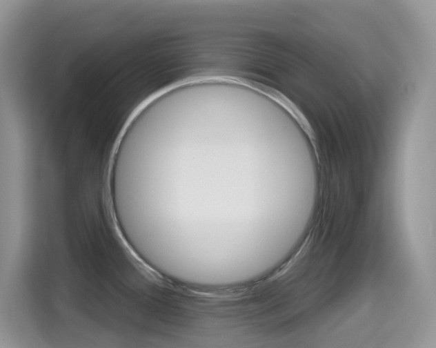 X0000114441388200910161043