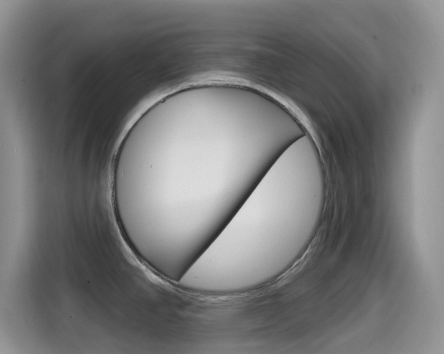 X0000114441390200910161043