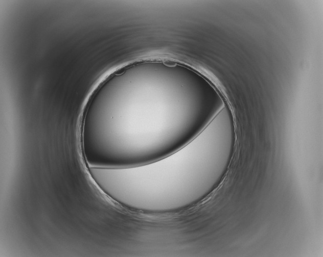 X0000114441392200910161043