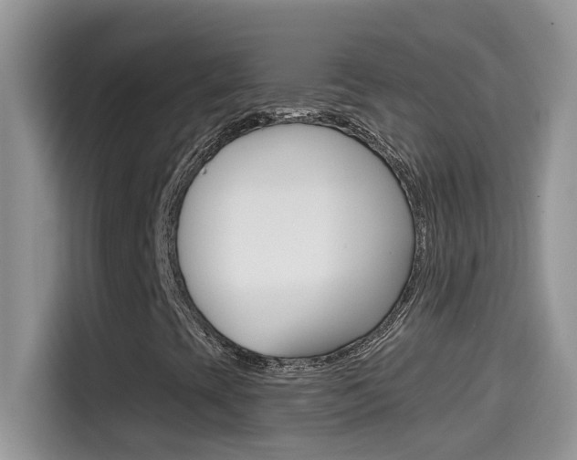 X0000114441393200910161042