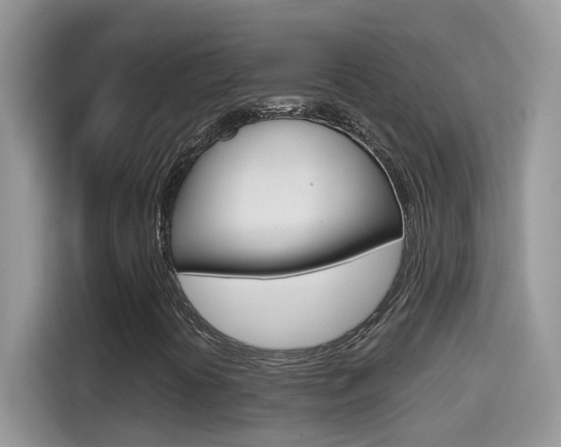 X0000114441394200910161043
