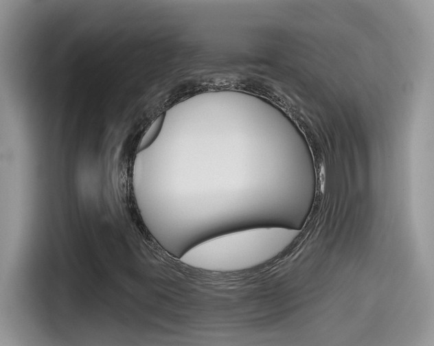 X0000114441395200910161043