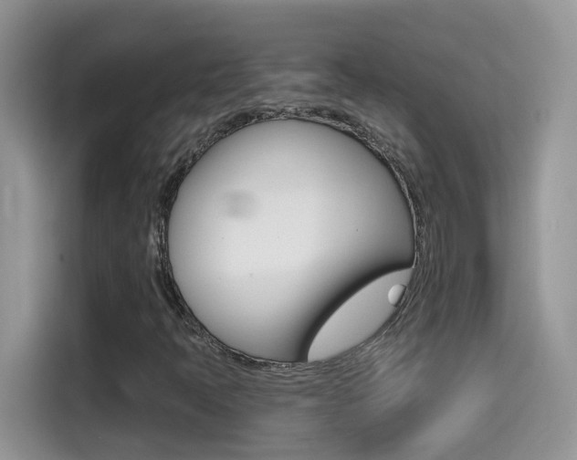 X0000114441397200910161043