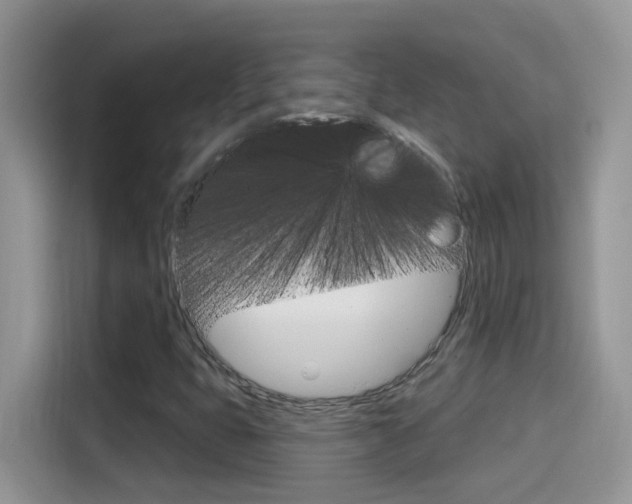 X0000114441399200910161043