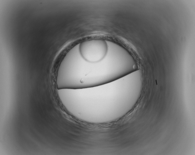 X0000114441400200910161043