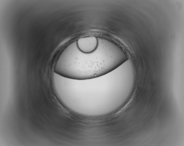 X0000114441402200910161043