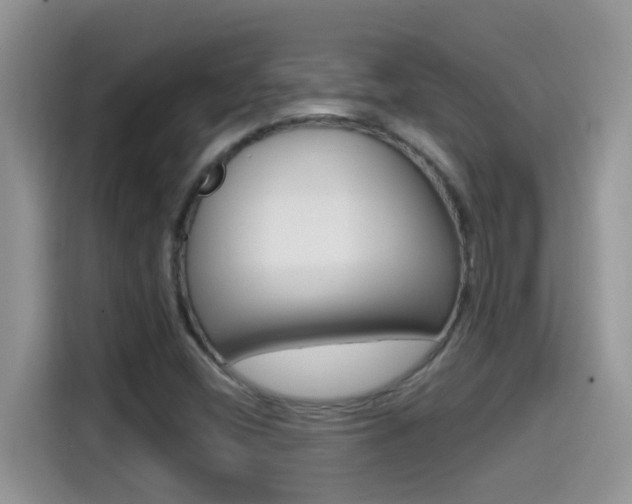X0000114441404200910161043