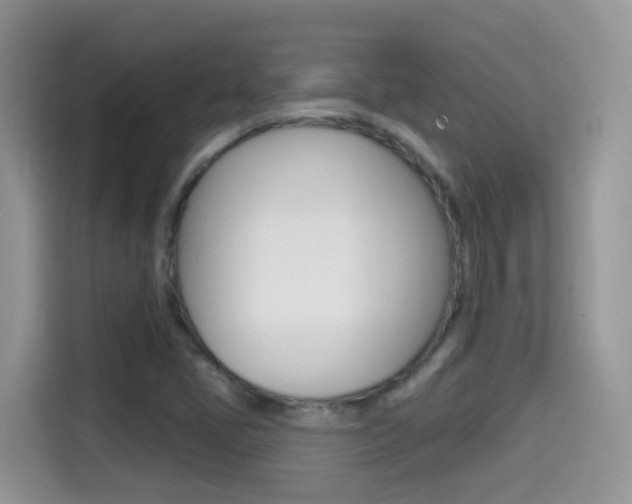 X0000114441405200910161043