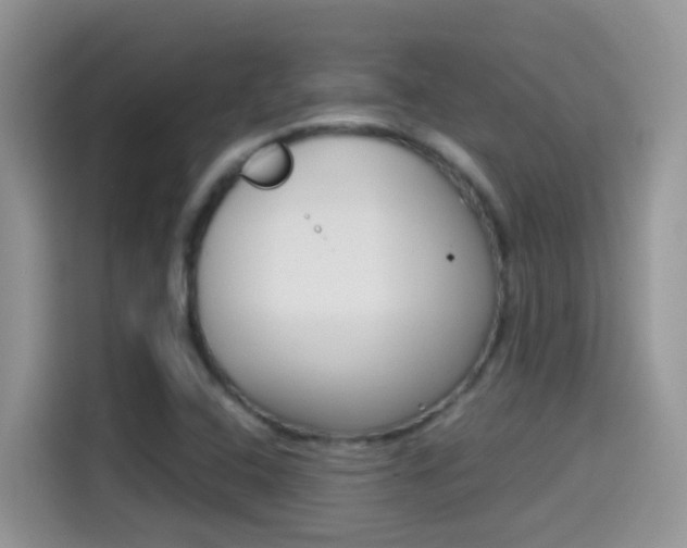 X0000114441408200910161043