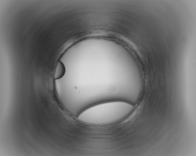 X0000114441409200910161043