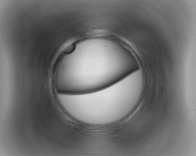 X0000114441410200910161043