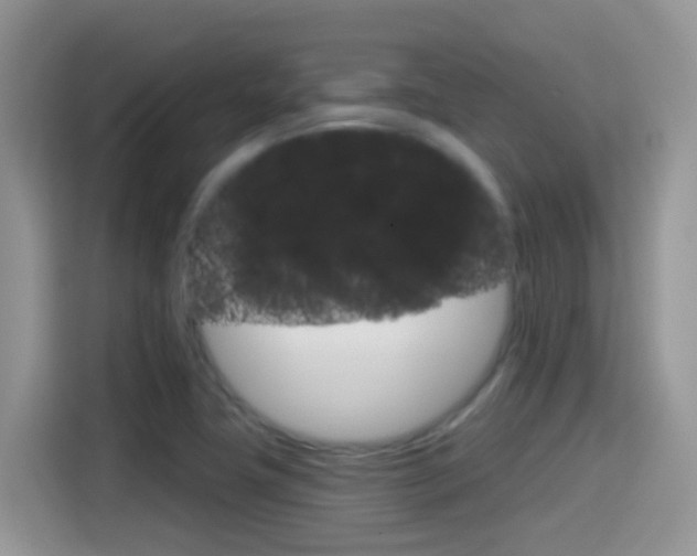 X0000114441411200910161043
