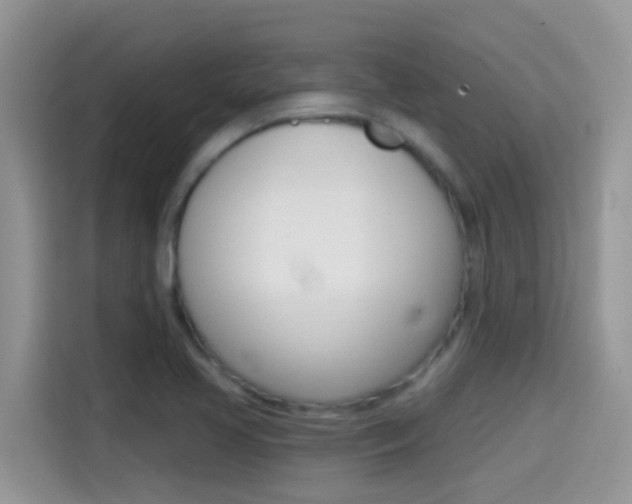 X0000114441413200910161043