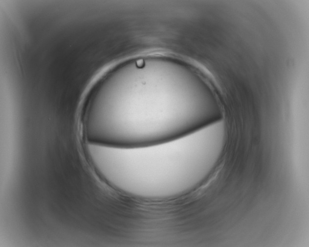 X0000114441414200910161043