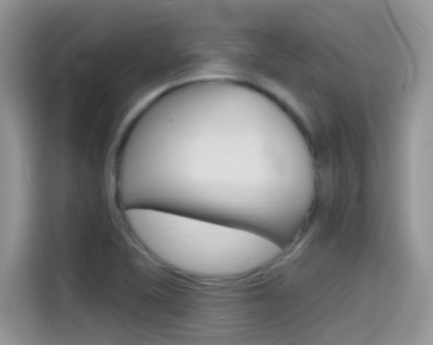 X0000114441415200910161043