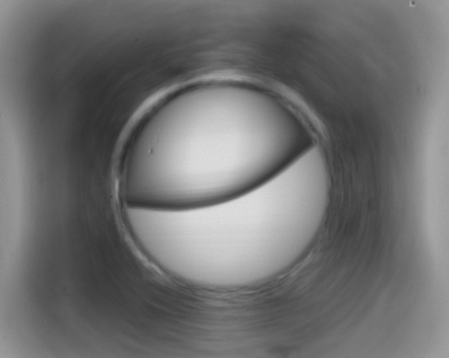 X0000114441416200910161043