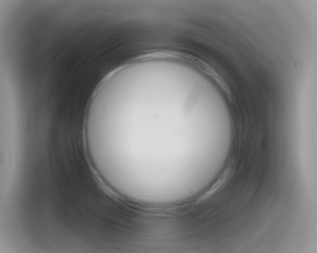 X0000114441417200910161043