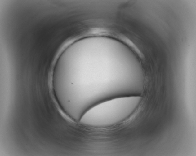 X0000114441421200910161043