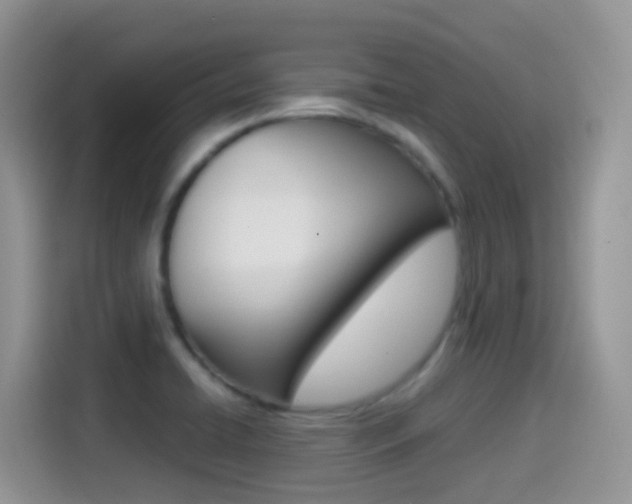 X0000114441422200910161043