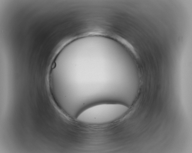 X0000114441423200910161043