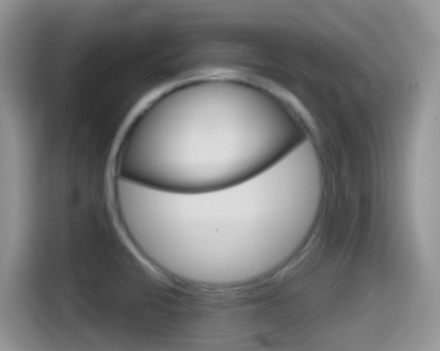 X0000114441424200910161043