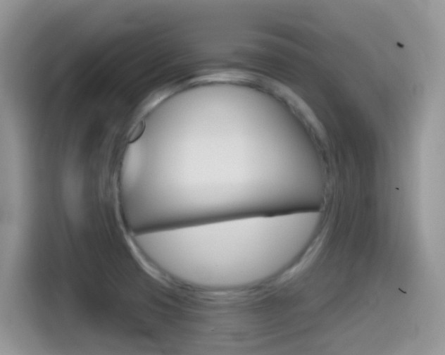 X0000114441425200910161043