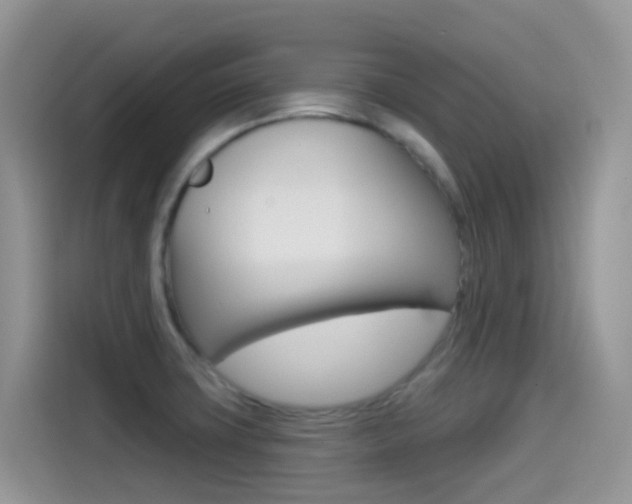 X0000114441427200910161043