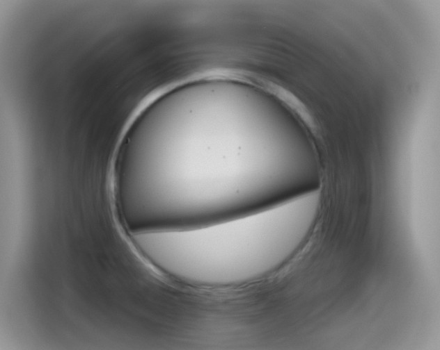 X0000114441428200910161043