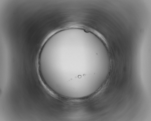 X0000114441431200910161043