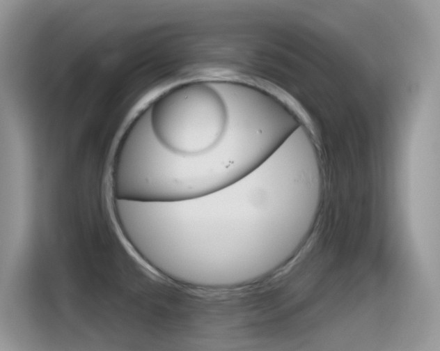 X0000114441432200910161043