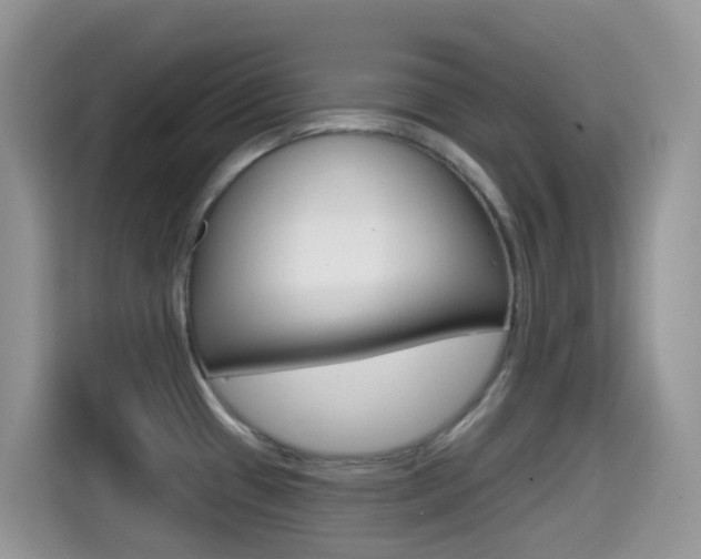 X0000114441433200910161043