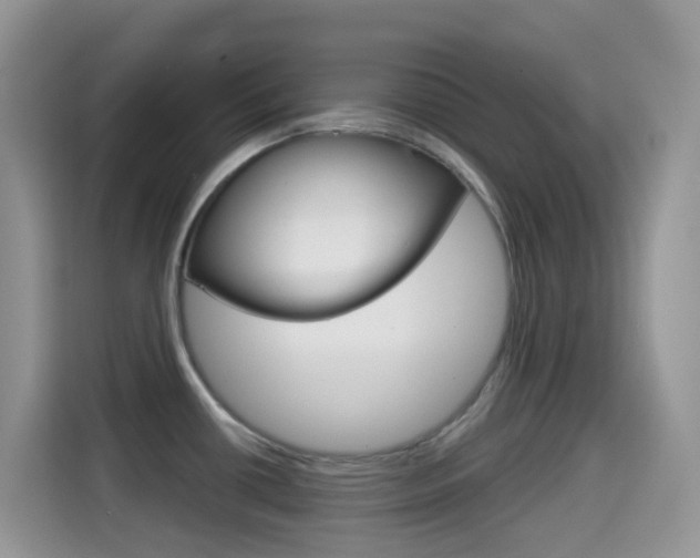 X0000114441434200910161043